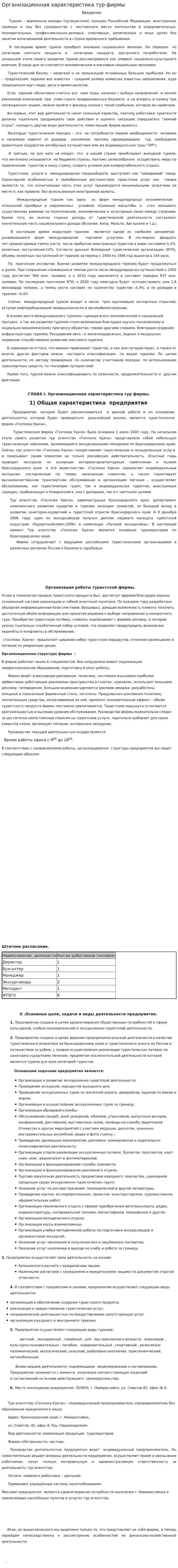 Организационная характеристика тур фирмы