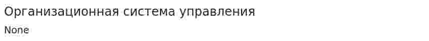 Организационная система управления. 2