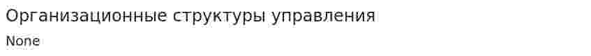 Организационные структуры управления. 9