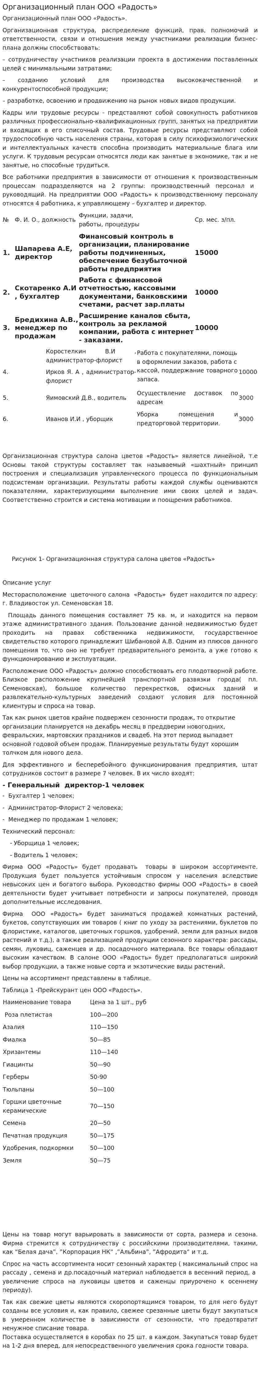 Организационный план ООО «Радость»
