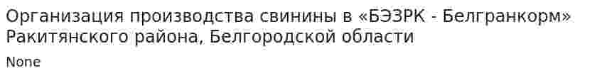 Организация производства свинины в «БЭЗРК - Белгранкорм» Ракитянского района, Белгородской области