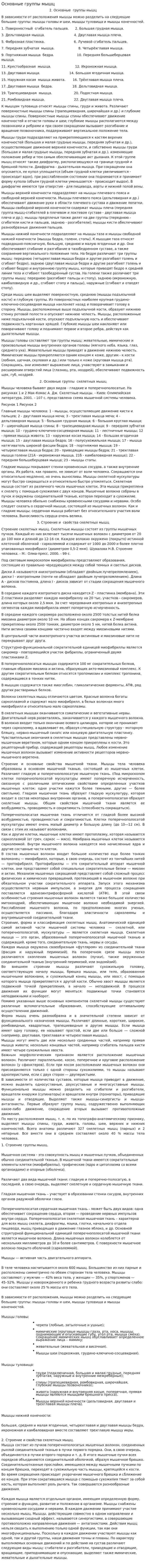 Основные группы мышц