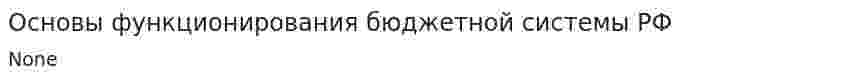 Основы функционирования бюджетной системы РФ