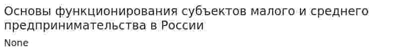 Основы функционирования субъектов малого и среднего предпринимательства в России