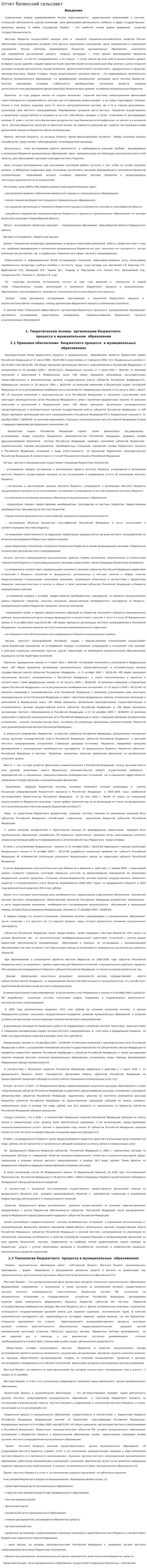 Отчет беленский сельсовет