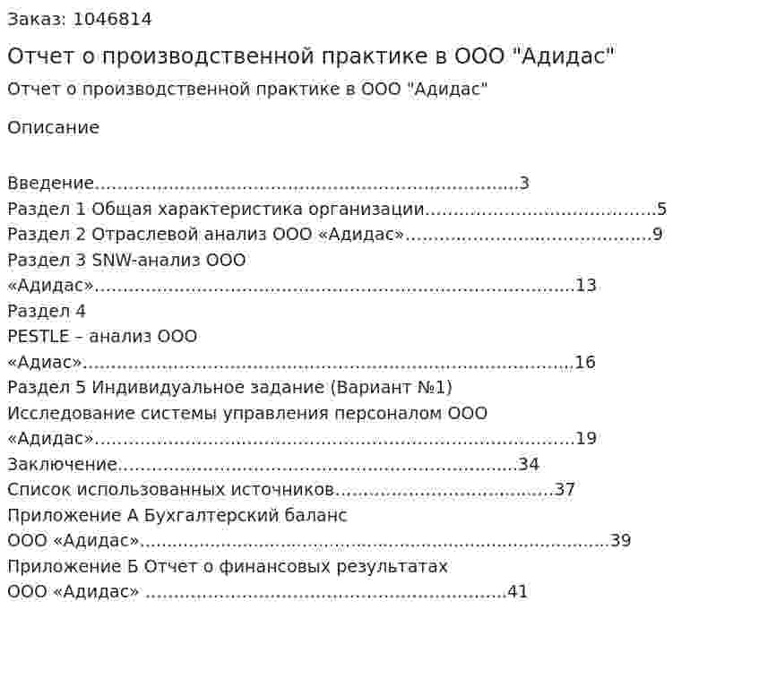 Отчет о производственной практике в ООО "Адидас" 