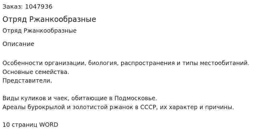 Отряд Ржанкообразные (реферат) 