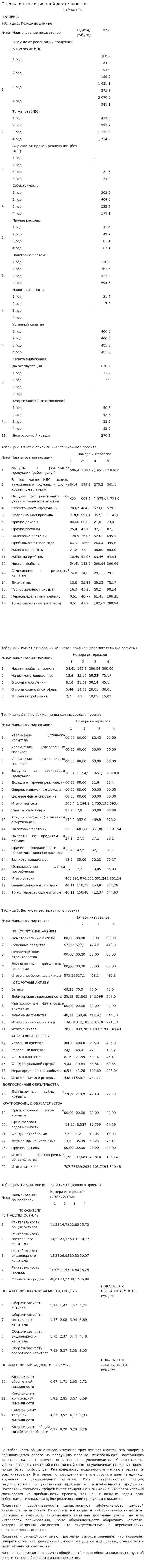 Оценка инвестиционной деятельности