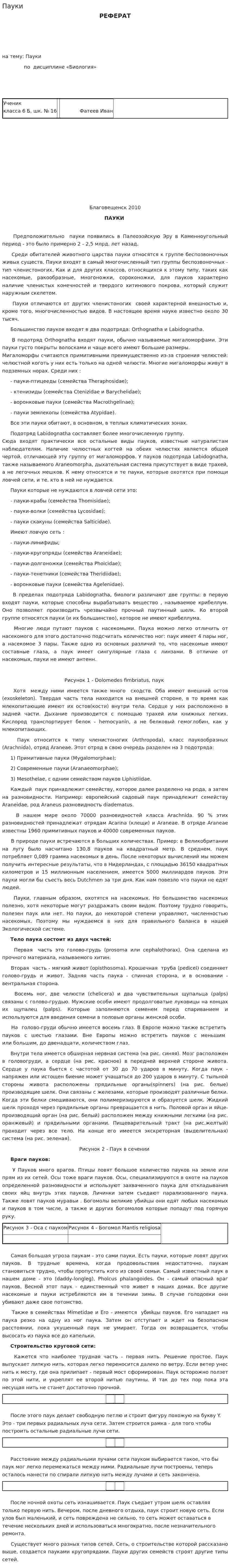 Пауки