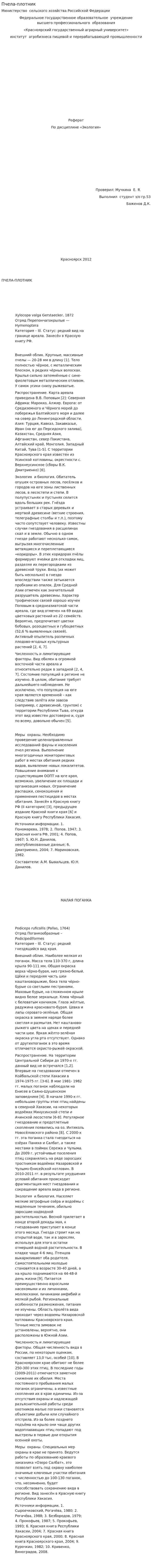 Пчела-плотник