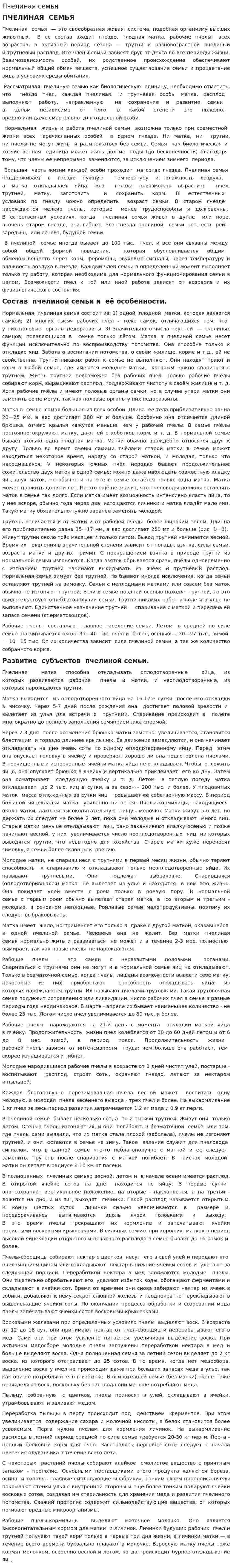 Пчелиная семья