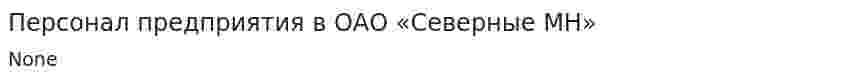 Персонал предприятия в ОАО «Северные МН»