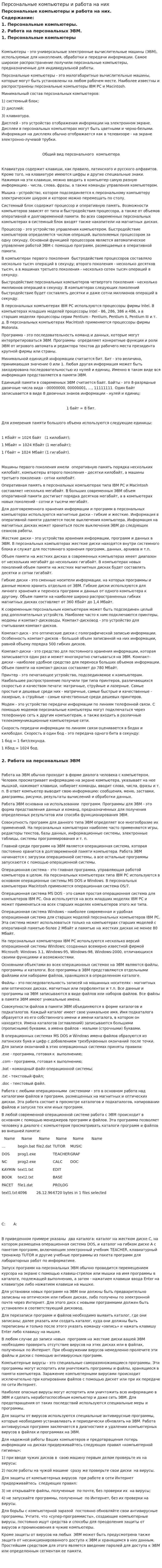 Персональные компьютеры и работа на них