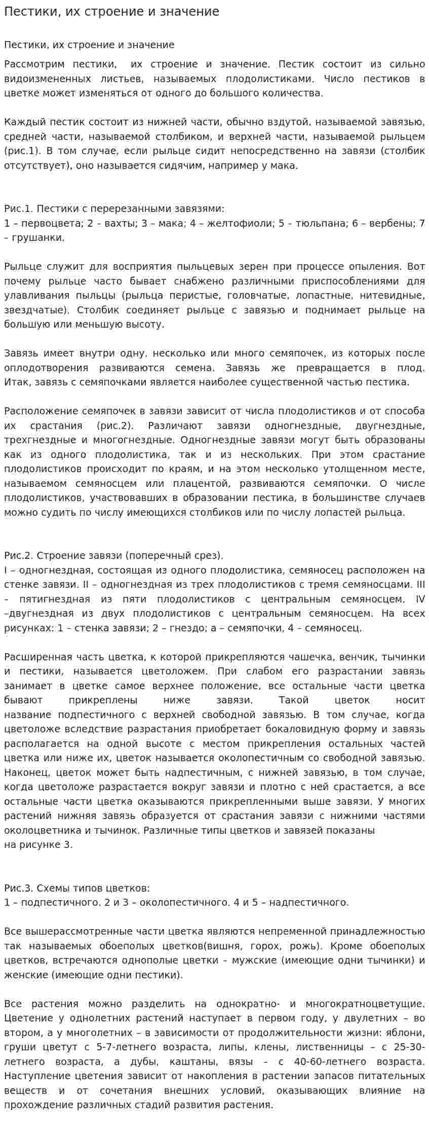 Пестики, их строение и значение