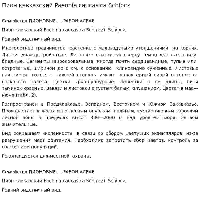 Пион кавказский Paeonia caucasica Schipcz