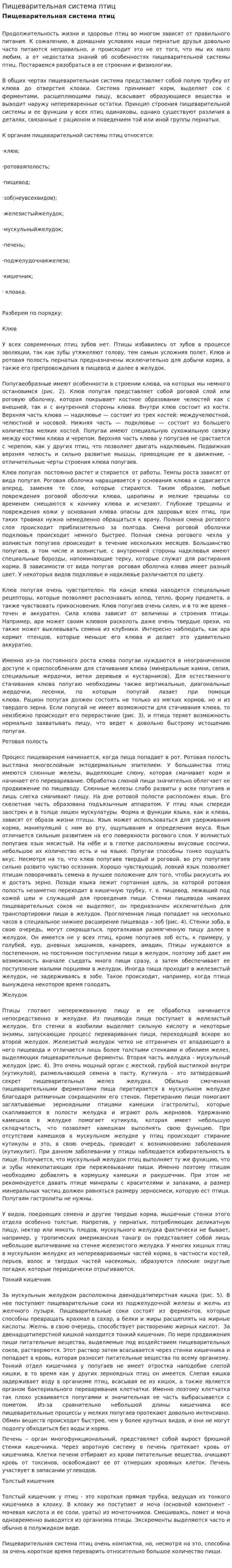 Пищеварительная система птиц