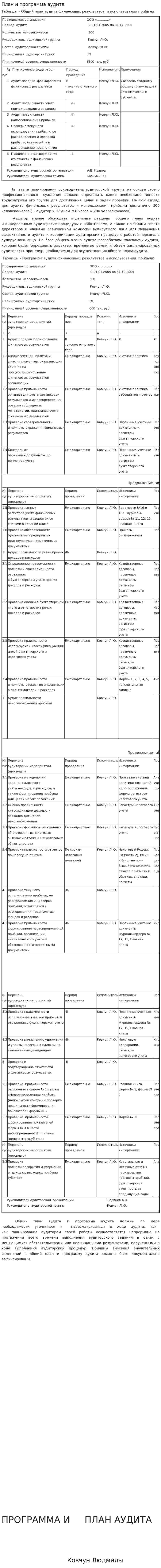 План и программа аудита