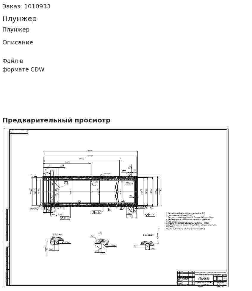 Плунжер 