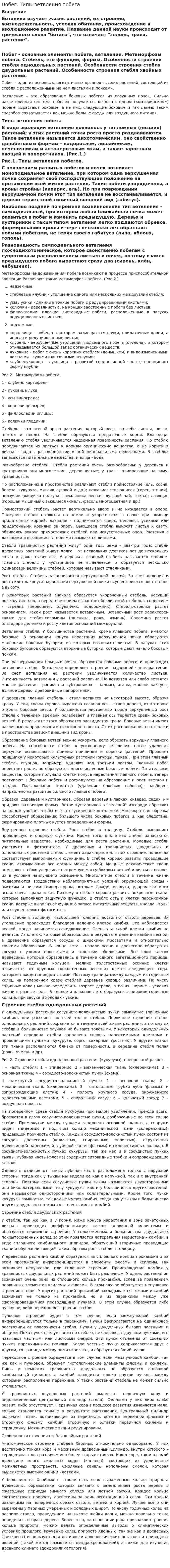 Побег. Типы ветвления побега