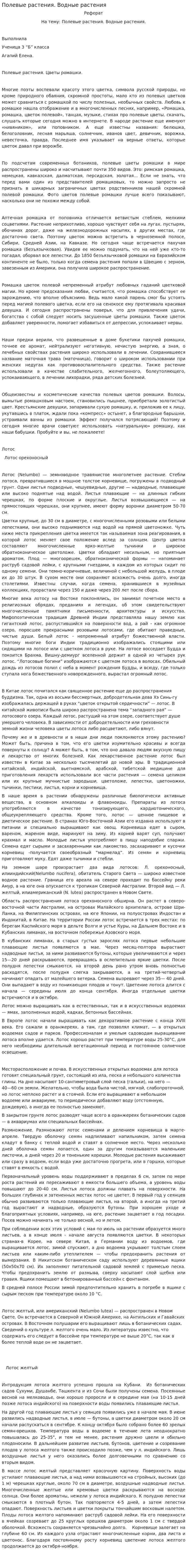 Полевые растения. Водные растения