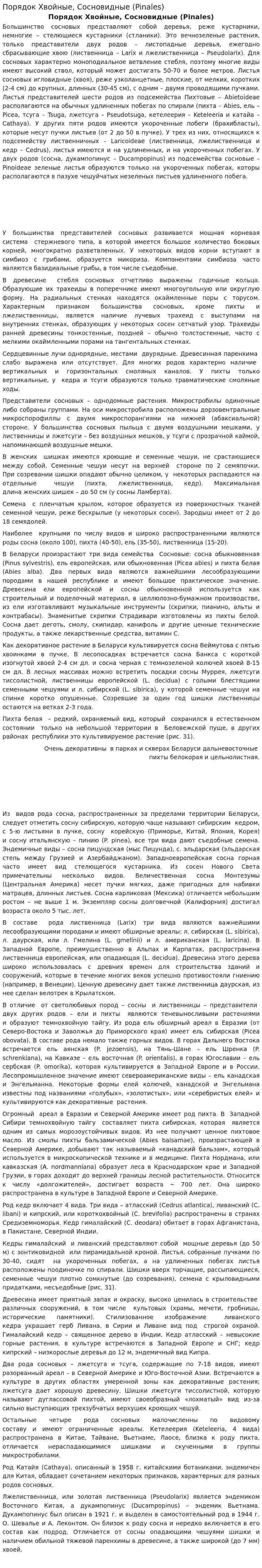 Порядок Хвойные, Сосновидные (Pinales)