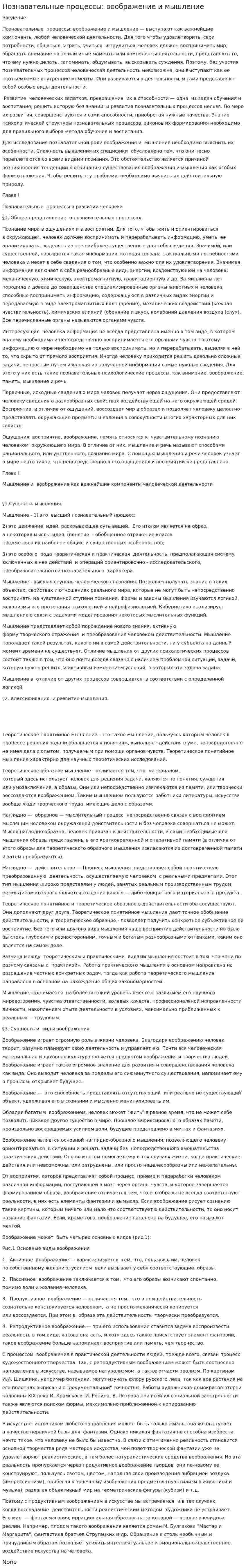Познавательные процессы: воображение и мышление