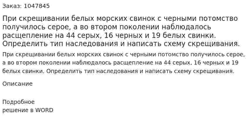 При скрещивании белых морских свинок с черными потомство получилось серое, а во втором поколении наблюдалось расщепление на 44 серых, 16 черных и 19 белых свинки. Определить тип наследования и написать схему скрещивания. 