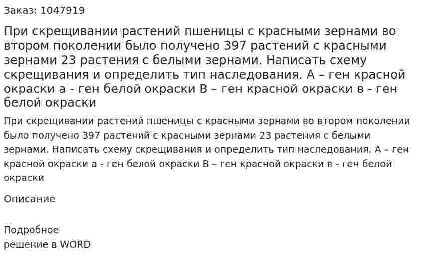 При скрещивании растений пшеницы с красными зернами во втором поколении было получено 397 растений с красными зернами 23 растения с белыми зернами. Написать схему скрещивания и определить тип наследования. А – ген красной окраски				а - ген белой окраски В – ген красной окраски				в - ген белой окраски 