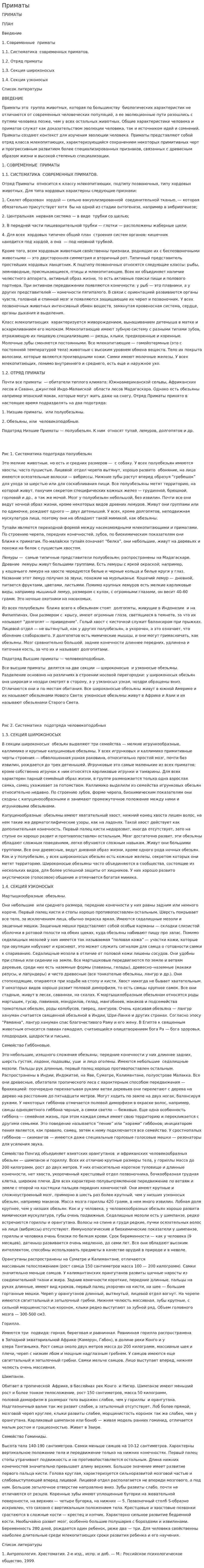 Приматы