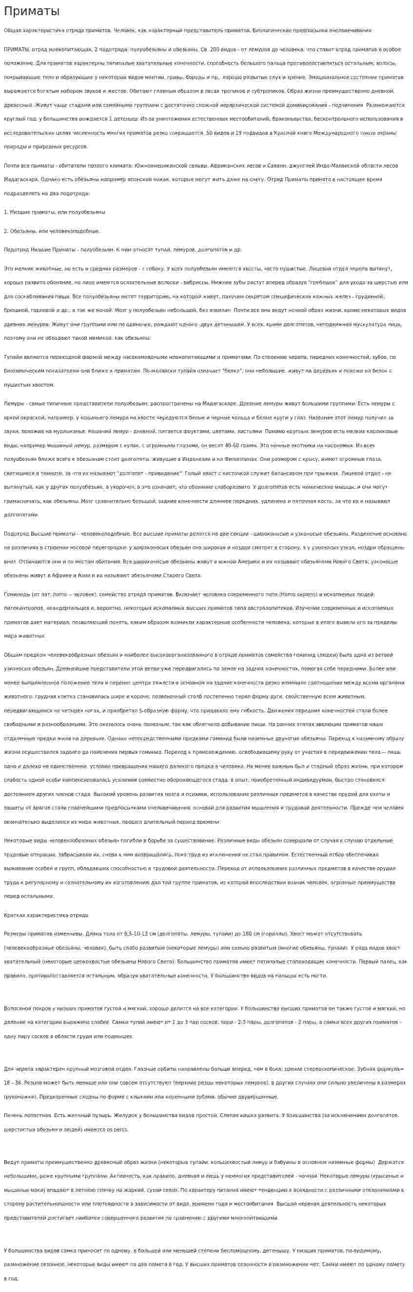 Приматы. 2