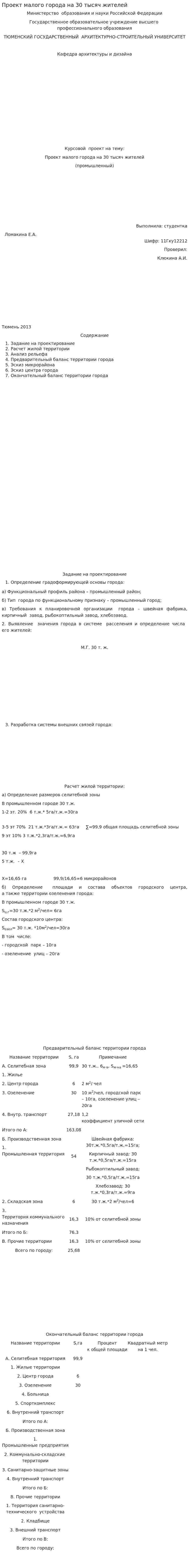 Проект малого города на 30 тысяч жителей