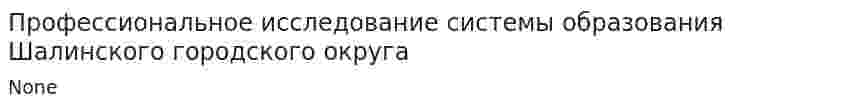 Профессиональное исследование системы образования Шалинского городского округа
