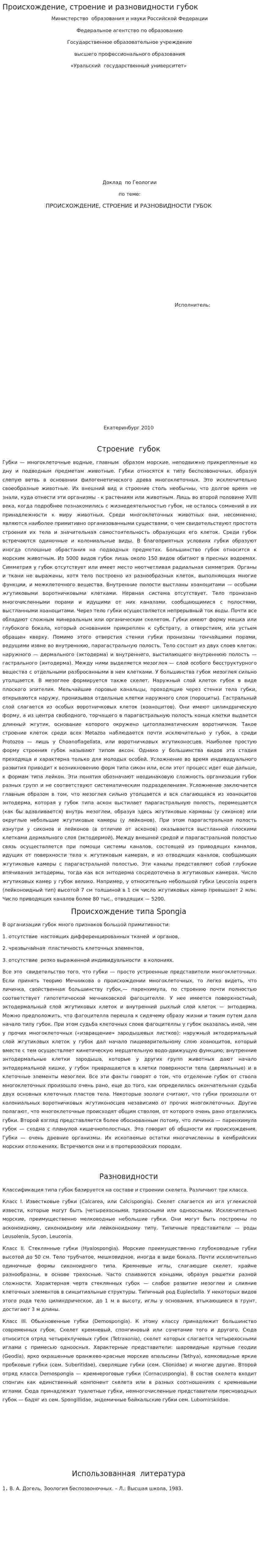 Происхождение, строение и разновидности губок
