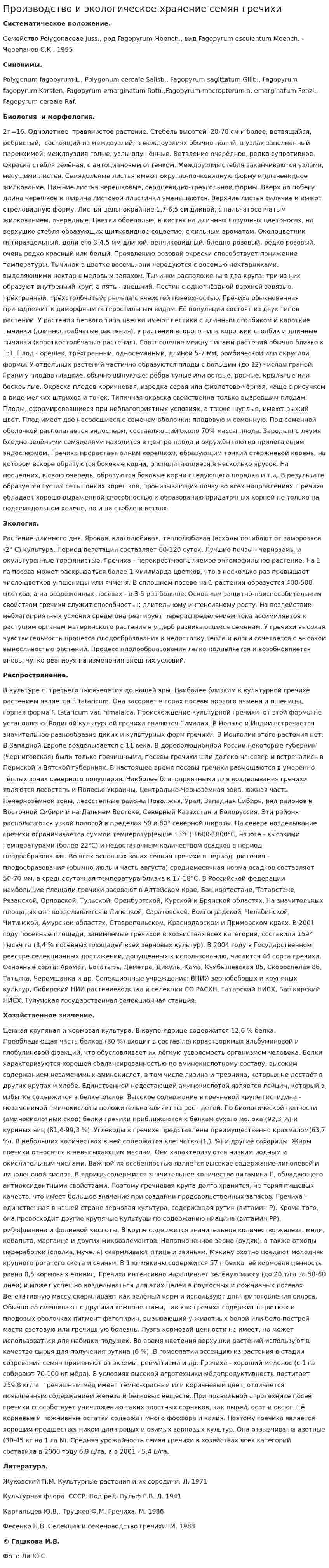Производство и экологическое хранение семян гречихи