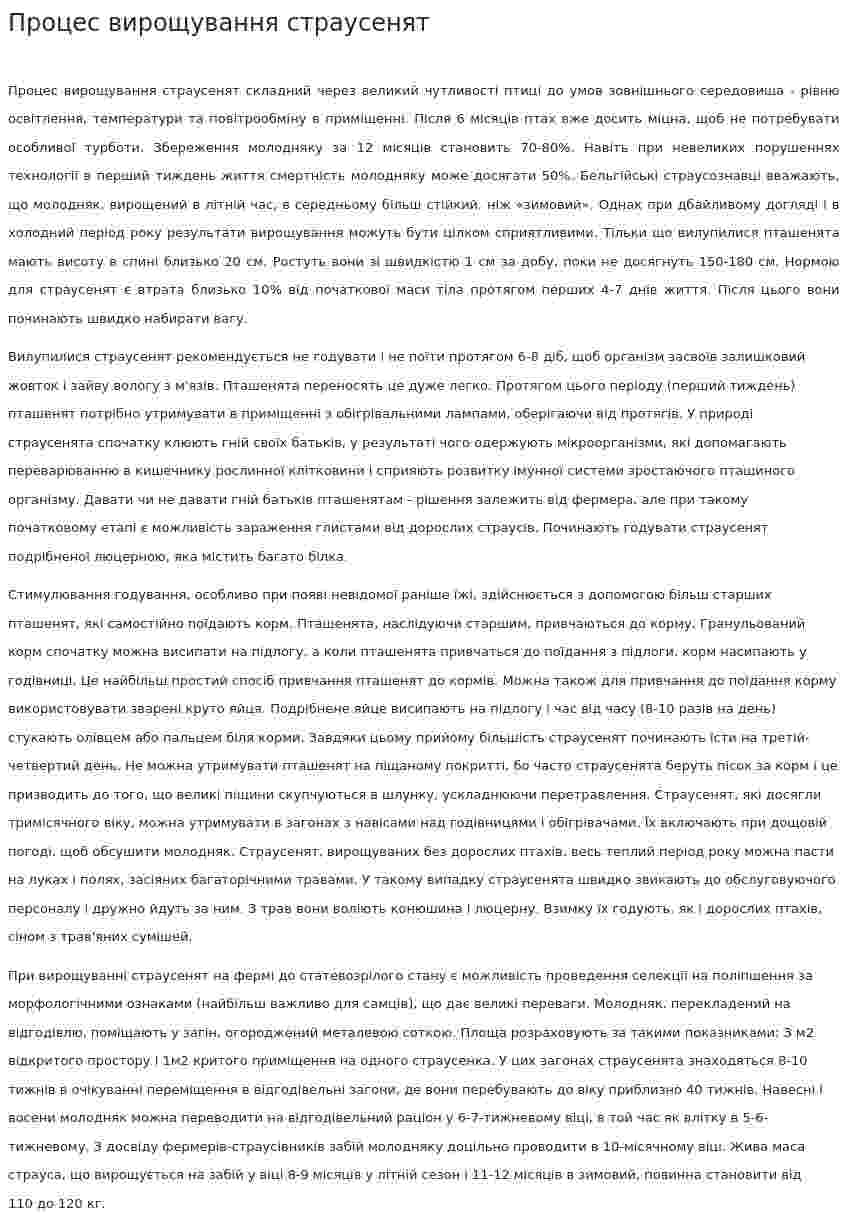 Процес вирощування страусенят