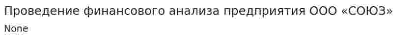 Проведение финансового анализа предприятия ООО «СОЮЗ»