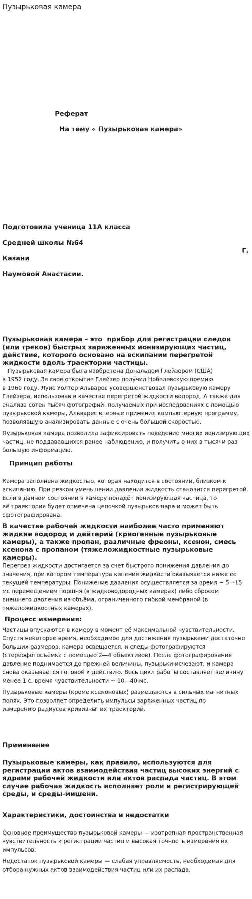 Пузырьковая камера