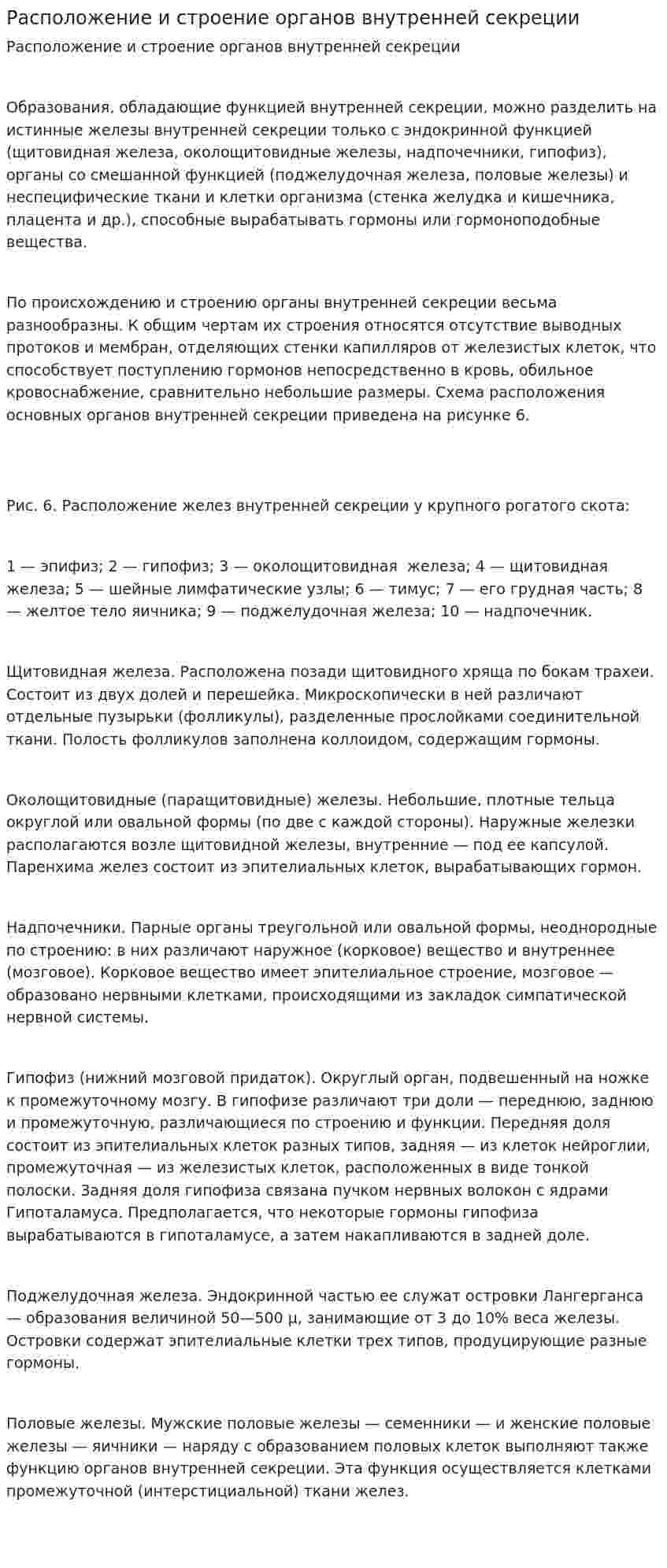 Расположение и строение органов внутренней секреции