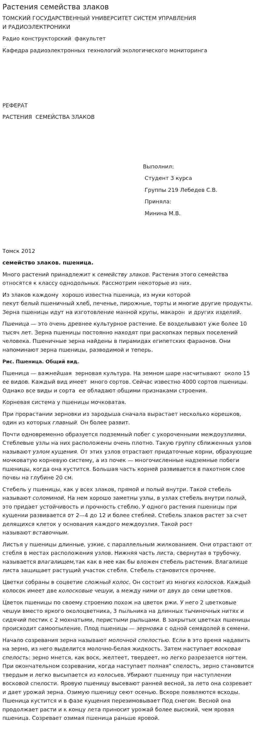 Растения семейства злаков