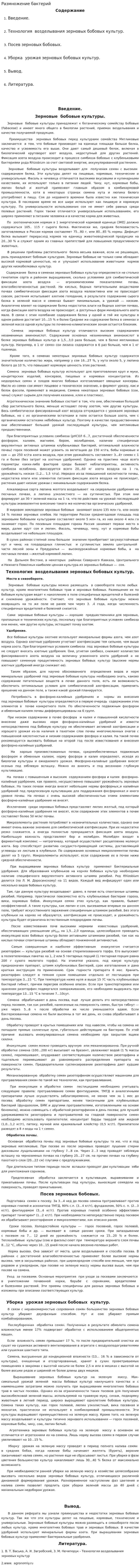 Размножение бактерий