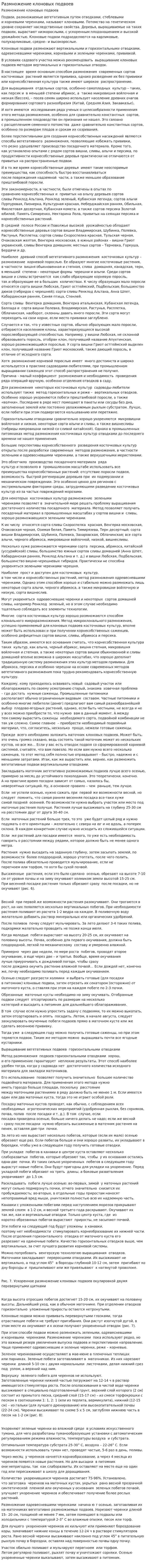 Размножение клоновых подвоев