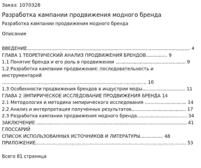 Разработка кампании продвижения модного бренда (курсовая работа) 