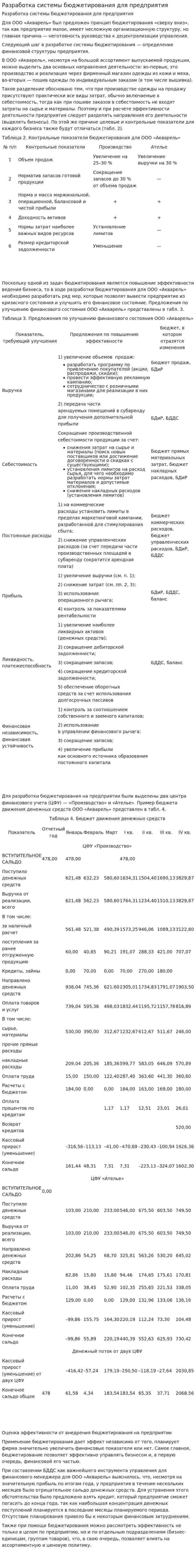 Разработка системы бюджетирования для предприятия