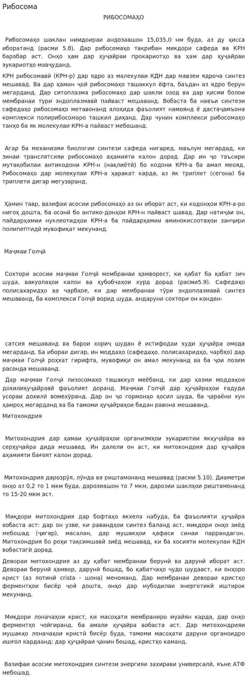 Рибосома