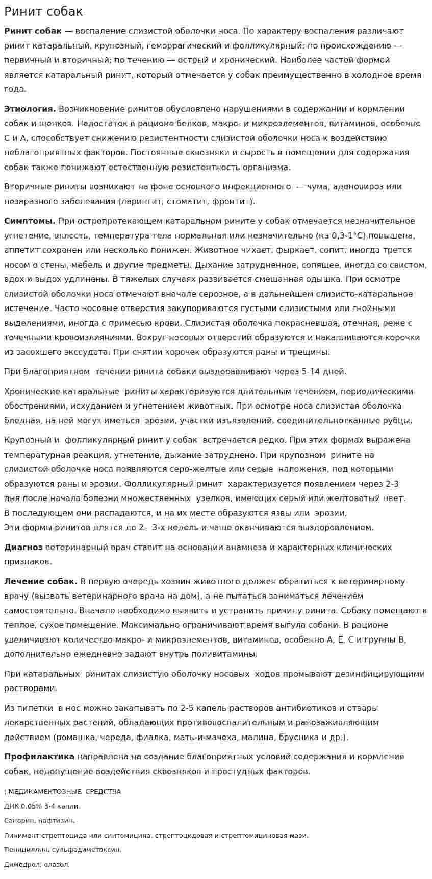 Ринит собак