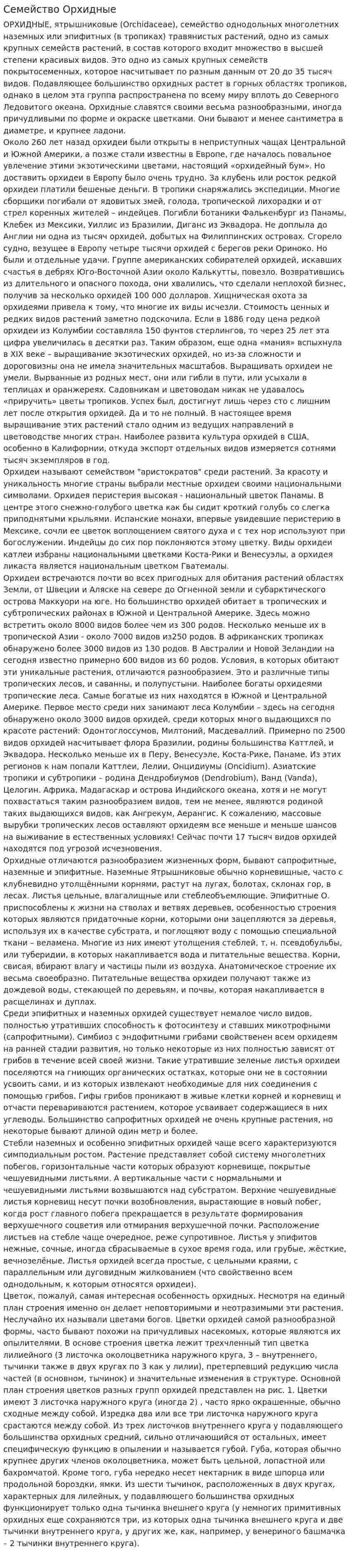 Семейство Орхидные