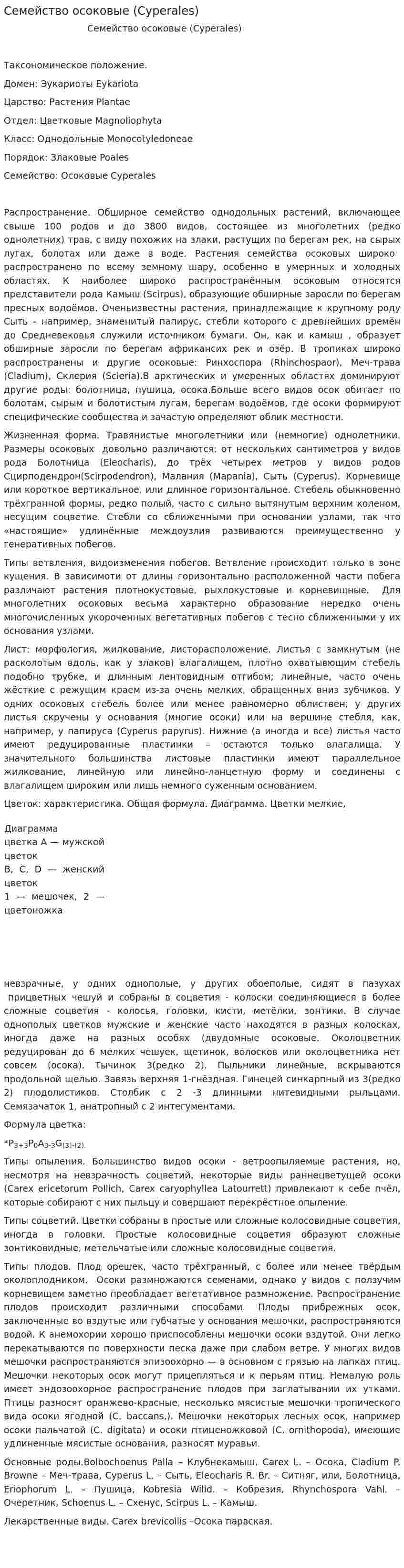 Семейство осоковые (Cyperales)