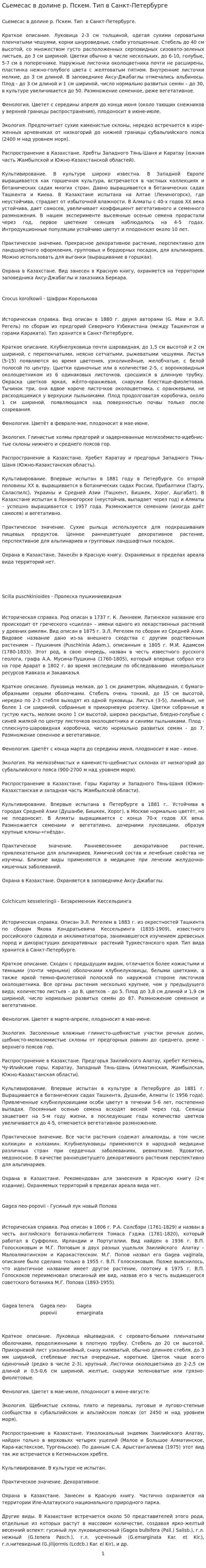 Сьемесас в долине р. Пскем. Тип в Санкт-Петербурге