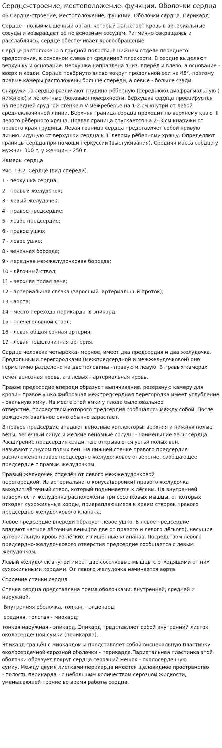 Сердце-строение, местоположение, функции. Оболочки сердца