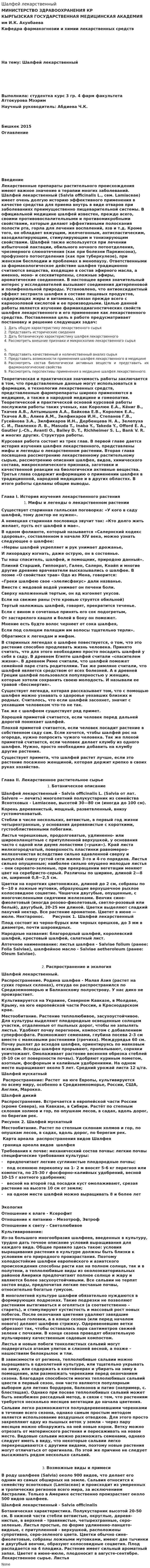 Шалфей лекарственный. 2